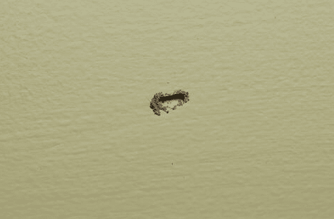 A small dirt spot on a wall, showing a hole with termite activity after being scraped.